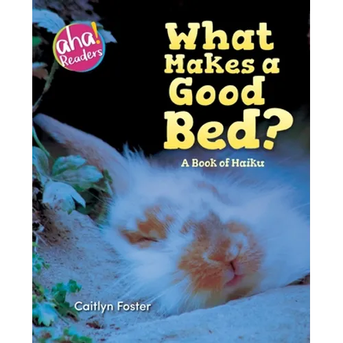 What Makes a Good Bed?: A book of Haiku
