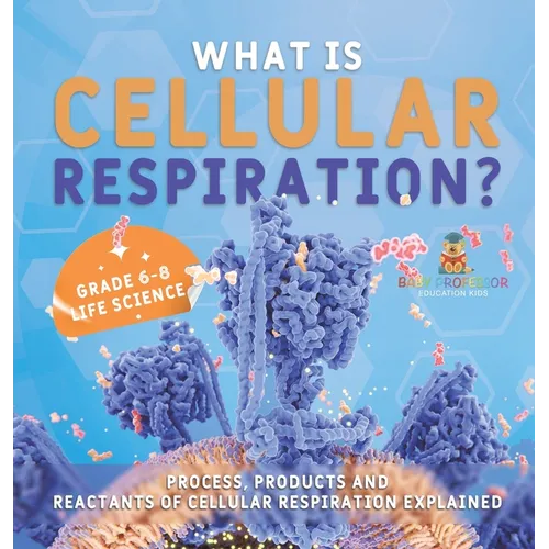What is Cellular Respiration? Process, Products and Reactants of Cellular Respiration Explained Grade 6-8 Life Science