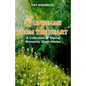 Sunbeams from the Heart: A Collection of Twelve Romantic Short Stories