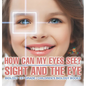 How Can My Eyes See? Sight and the Eye - Biology 1st Grade Children's Biology Books