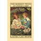 The Bobbsey Twins at Cedar Camp