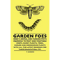 Garden Foes - Insect, Animal And Fungoid Pests Injurious To Fruit And Vegetable Crops, Hardy Plants, Trees, Shrubs And Greenhouse Plants With All The