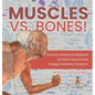 Muscles vs. Bones! Human Musculoskeletal System Examined Integumentary System Grade 6-8 Life Science