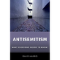 Antisemitism: What Everyone Needs to Know(r)