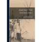 Among The Shoshones