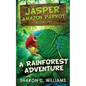 A Rainforest Adventure