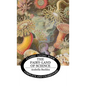 The Fairy-Land of Science