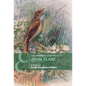 The Cambridge Companion to John Clare