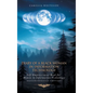 Diary of a Black Woman in Information Technology Self Empowerment: Book for Women in Technology (Metamorphosis Edition)