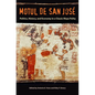Motul de San José: Politics, History, and Economy in a Maya Polity