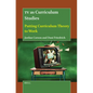 TV as Curriculum Studies: Putting Curriculum Theory to Work