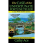The Case of the Unfortunate Fortune Teller: A WISE Enquiries Agency cozy Welsh murder mystery
