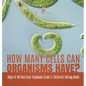 How Many Cells Can Organisms Have? Single & Multicellular Organisms Grade 5 Children's Biology Books