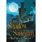 In the Shadow of the Sanctum