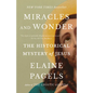 Miracles and Wonder: The Historical Mystery of Jesus