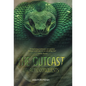 The Outcast