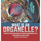 What is an Organelle? Identifying Organelles and Examining Cell Organelle Functions Grade 6-8 Life Science