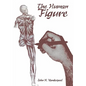 The Human Figure