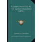Sixteen Months At The Gold Diggings (1851)