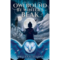 Owlbound by Winter's Beak