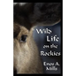 Wild Life on the Rockies