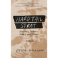 Hardtail Strat: Guitars, Heroin, Songs and Stories