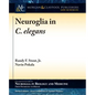 Neuroglia in C. elegans