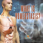 What is Homeostasis? How Human Body Organs Function Levels of Organization Grade 6-8 Life Science