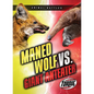 Maned Wolf vs. Giant Anteater