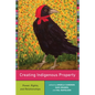Creating Indigenous Property: Power, Rights, and Relationships