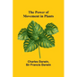 The Power of Movement in Plants