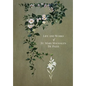 The Life and Works of St. Mary Magdalen de Pazzi