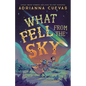 What Fell from the Sky