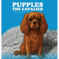 Pupples the Cavalier: Pupples Meets His New Family