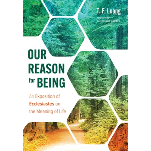Our Reason for Being: An Exposition of Ecclesiastes on the Meaning of Life