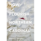 Now Flourish Northern Cardinal