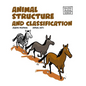 Animal Structure and Classification