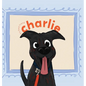My Best Friend Charlie