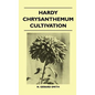 Hardy Chrysanthemum Cultivation