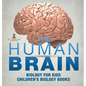 The Human Brain - Biology for Kids Children's Biology Books