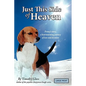 Just This Side of Heaven