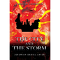 The City and the Storm: A Mendax Chronicle