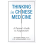 Thinking In Chinese Medicine: A Patient's Guide to Acupuncture
