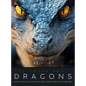 The Truth About Dragons: The Ultimate Illustrated Art Guide for Fantasy Lovers