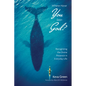 Where Have You Seen God?: Recognizing the Divine Presence in Everyday Life