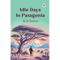 Idle Days In Patagonia