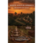 White Sulfur Springs: Shadows of Guilt