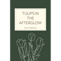 Tulips in the Afterglow