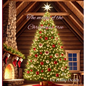 The Magic of the Christmas Tree