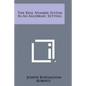 The Real Number System in an Algebraic Setting